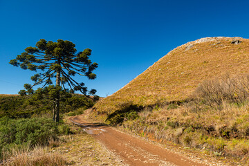 Localidade de Santa Bárbara, Urubici, Santa Catarina, Brasil