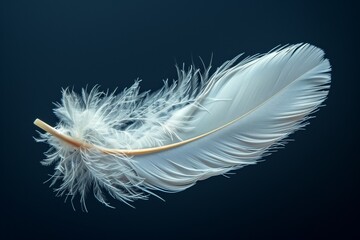 A white feather floating in mid air on a dark blue background.