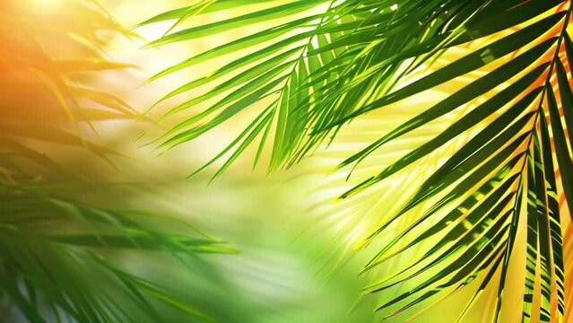 trendy summer Bali style floral patter background , colorful leaves palm shape art video wallpaper. Summer colors botanical tropical leaves ,sun light and shadows, pink, yellow leaf 
