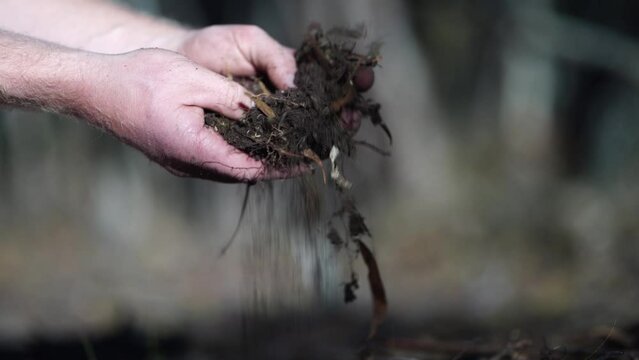 farmer collecting soil samples in a test tube in a field. Agronomist checking soil carbon and plant health on a farm
