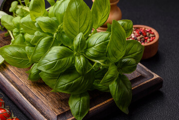 Fresh herbs basil in the form of a bush as an ingredient for cooking at home