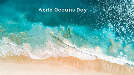 aerial shot of a beach's shoreline commemorates World Oceans Day, with a clear demarcation between sea and sand