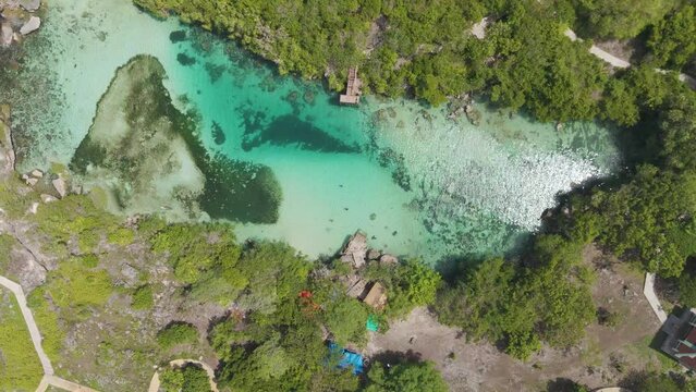 Weekuri Lagoon, Sumba island, Indonesia. A beautiful blue lake with a green forest in the background. The water is calm and clear, and the trees are lush and green