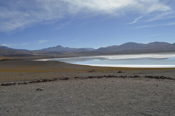 Oasis no Deserto de Atacama