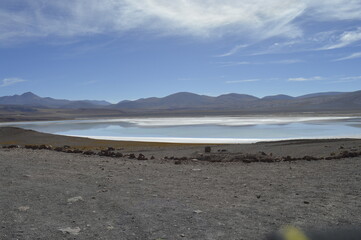 Oasis no meio do Deserto de Atacama