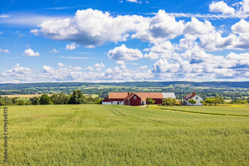 Sticker View at a field with crops by a farm in the countryside