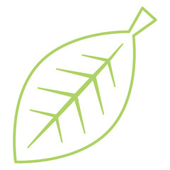 Obraz premium leaf 