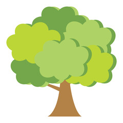 tree with green leaves