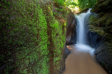 The landscape of a small waterfall is refreshing in a green forest with many green moss growing....
