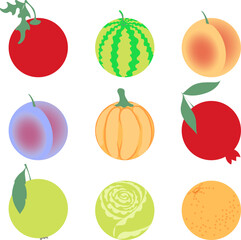 Round vegetables with a perfect circle at the base. Vector illustration