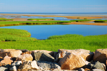A beautiful coastal marchland, with calm water and lush grasses, is preserved at Paines State Park in Cape Cod