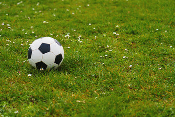 A soccer ball over a green grass field
