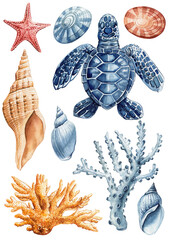 Seashell, starfish, turtle and coral watercolor clipart. Beautiful Marine set. Design elements isolated white background - 796605368