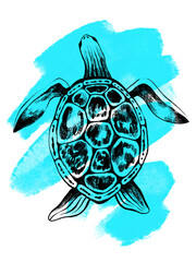 Sea turtle in line art style. Hand drawn illustration. 