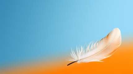 feathers floating on background