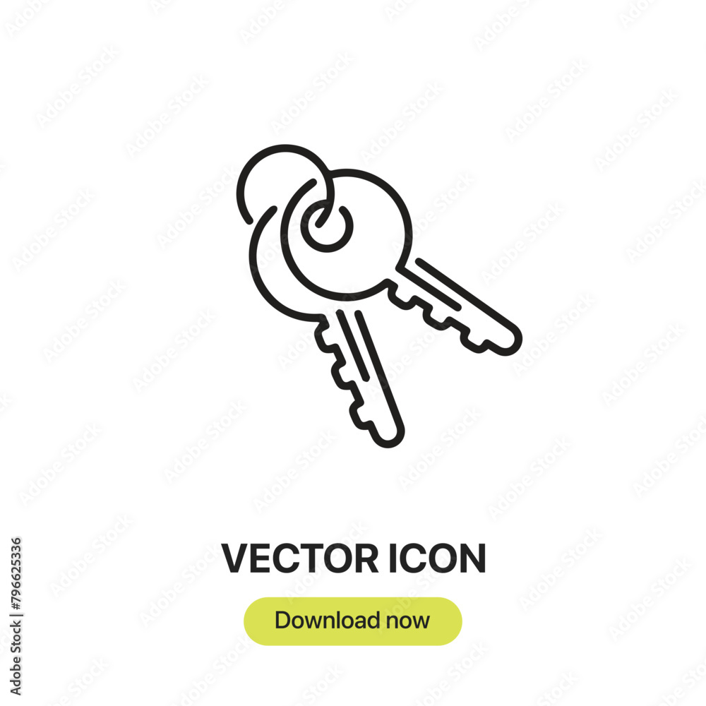 Leinwandbilder keys icon vector. linear-style sign for mobile concept and web design. keys symbol illustration. pix