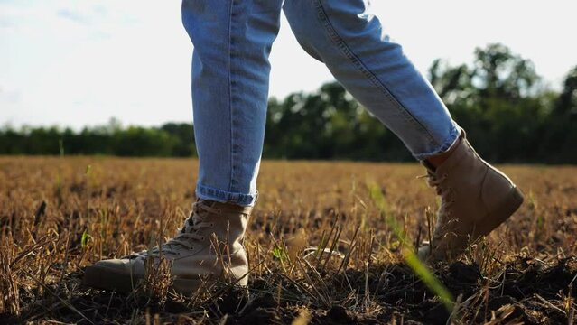 Female feet of farmer going through the wheat meadow at sunset. Legs of agronomist in boots walking among barley plantation at dusk. Concept of agricultural business. Slow motion