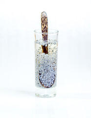 Ocimum × citriodourum, hoary basil, lemon basil, thai lemon basil with seeds soaked in water in a clear glass and a wooden spoon placed inside the glass, white background, isolated