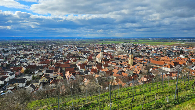 Blick von Schriesheim/Dossenheim auf die Rheinebene