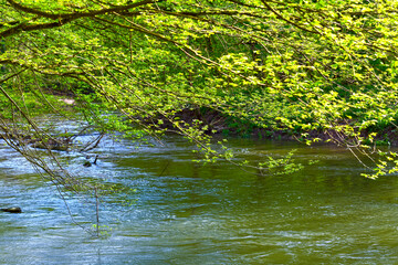 Kinzig in der Bulau - Hanau/Hessen	