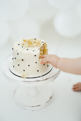 Celebration birthday one year old