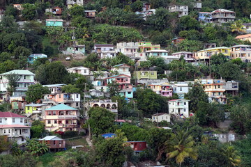 Bunte Häuser zwischen Palmen am Berghang, tropisch, karibisch, bunt, green, grün, Dominica,...