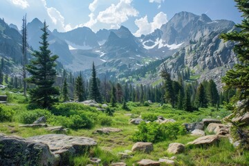 Rocky mountain range wilderness vegetation landscape. - obrazy, fototapety, plakaty