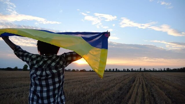 Ukrainian lady walking with national blue-yellow banner on barley meadow at sunrise. Woman going with raised flag of Ukraine above her head on wheat field at sunset. Victory against russian aggression