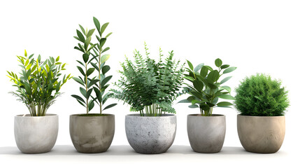  a group of potted plants in a white room ,Collection of various plants in different pots ,Potted house plants on shelf against wall