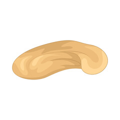 Illustration of cashew nut