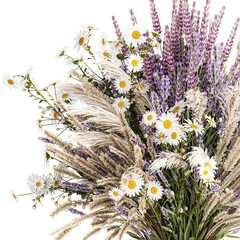  Bouquet of wildflowers lavender chamomile poppy pampas isolated on white background