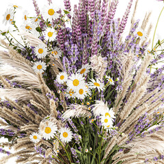  Bouquet of wildflowers lavender chamomile poppy pampas isolated on white background - obrazy, fototapety, plakaty