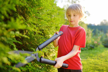 Portrait of cute preteen boy gardener. Child trimming thuja hedge with a pruner in domestic garden...