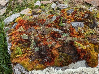 Hike to Lake Humantay, Peru - April 2024