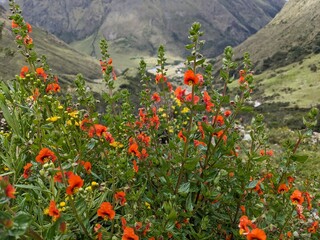 Hike to Lake Humantay, Peru - April 2024