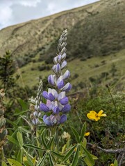 Hike to Lake Humantay, Peru - April 2024