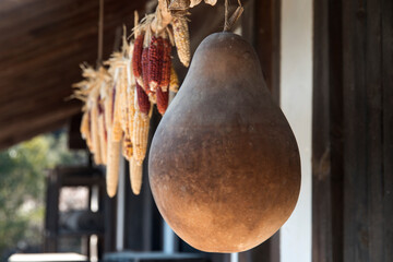 View of the calabash and corns hanging in the traditional Korean rural house.