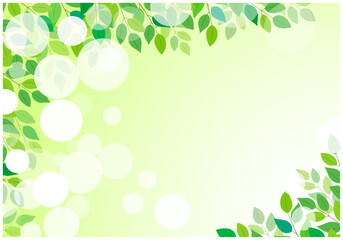 緑の葉っぱの美しい新緑フレーム背景6緑