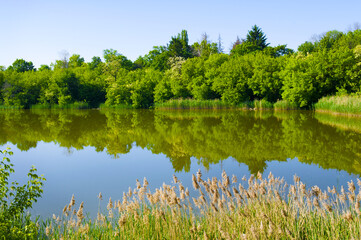 A picturesque lake, a forest on the shore of a reservoir .