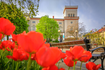 Bielsko-Biała architektura wiosna kwiaty