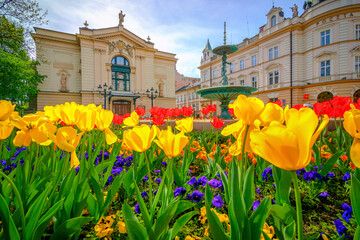Bielsko-Biała wiosna kwiaty