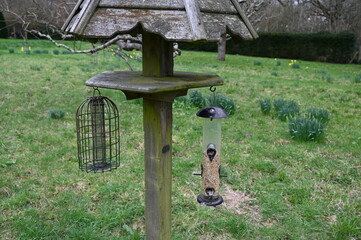 Bird feeders with seeds in the garden.