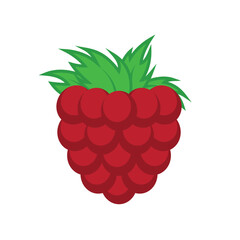 Raspberry, Icon of red raspberry berry with leaves. Isolated on a white background.