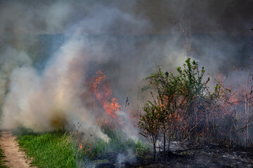 Vegetation fire in fields due to high temperatures.