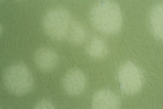 Plant fibre mulberry paper texture green architecture.