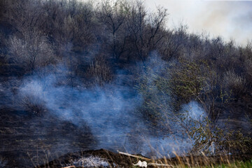 Vegetation fire in fields due to high temperatures.