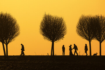 black silhouettes figures with a dog against the colourful background of the setting sun