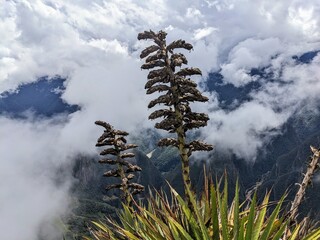Inca Trail & Machu Picchu in Peru - April 2024