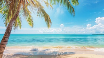 A palm tree is on the beach next to the ocean