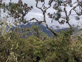 Inca Trail & Machu Picchu in Peru - April 2024